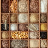 cereal grains
