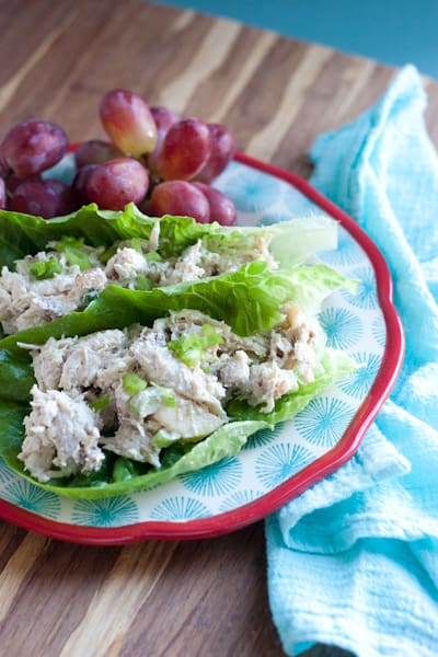 Easy Rotisserie Chicken and Apple Salad -- This makes a perfect, portable picnic lunch without needing to make a bunch of sandwiches. Paleo friendly and easily made low-carb or keto | perrysplate.com