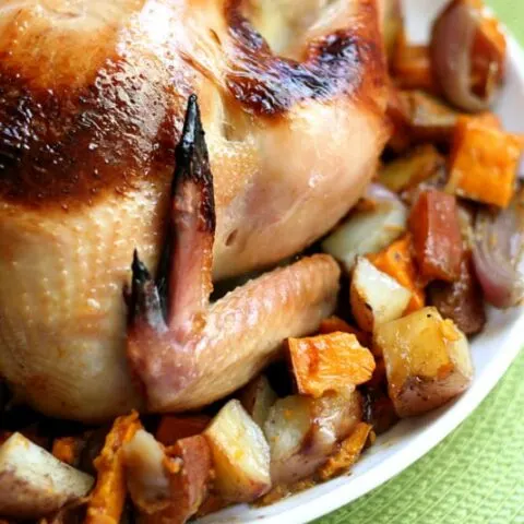Chicken & Turkey Brine + The Perfect Bird