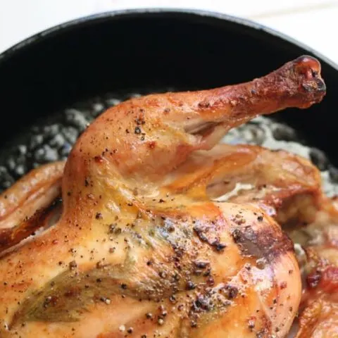 Oven Roasted Turkey for Beginners - Lauren's Latest