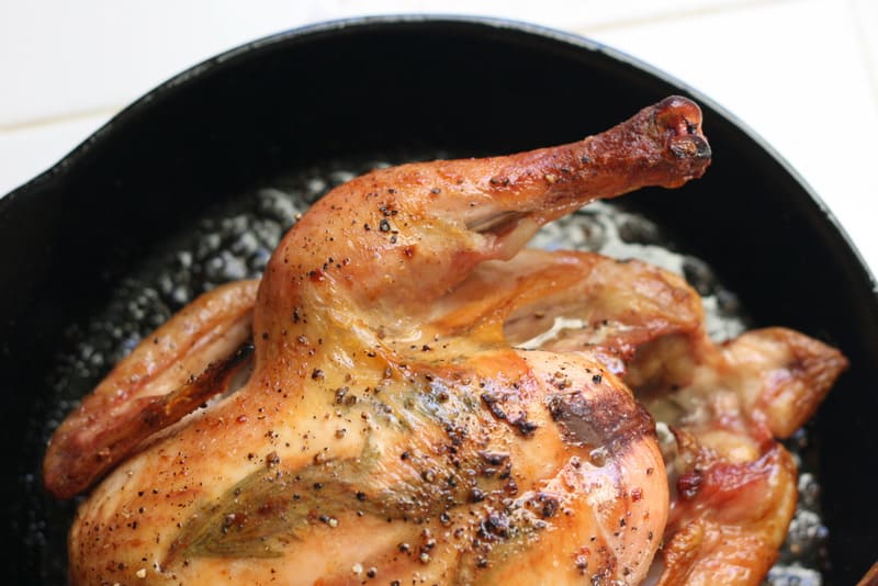 Zuni Cafe Roasted Chicken Perry's Plate