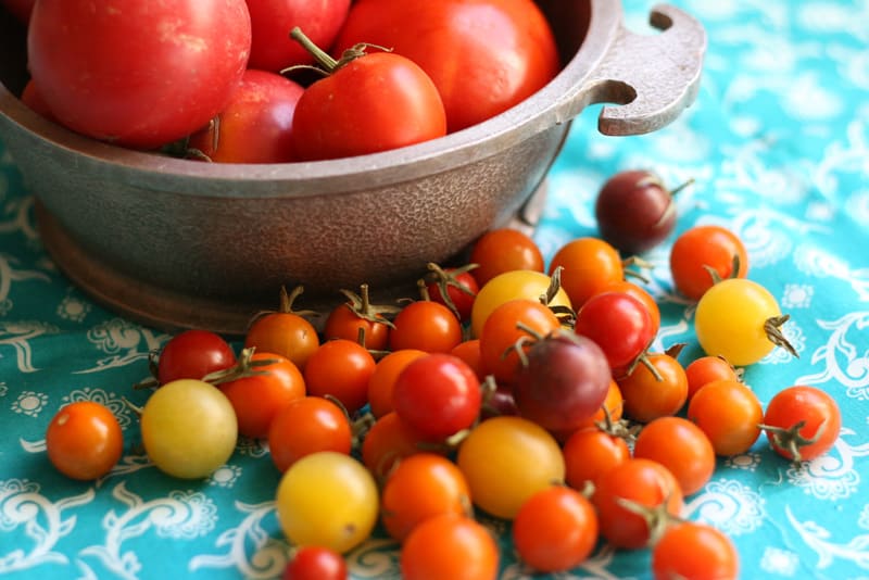 What To Do With 30 Pounds Of Tomatoes Perry S Plate