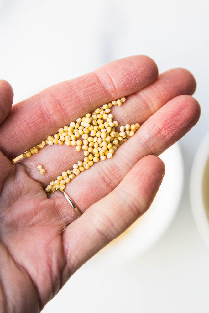 What is millet? It's a gluten-free ancient grain that has a corn-like flavor and cooks up like quinoa or rice!