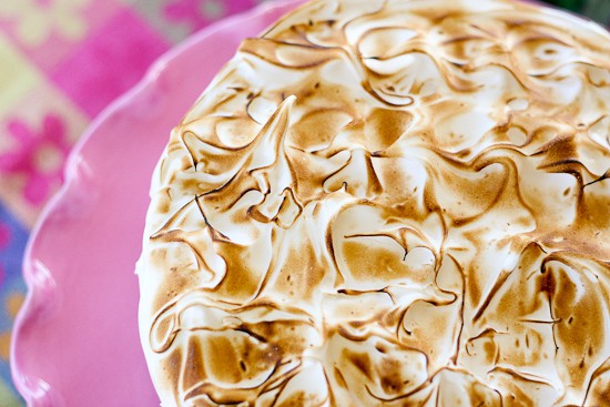 Smitten Kitchen's S'more Layer Cake - www.PerrysPlate.com Smitten Kitchen's S'more Layer Cake - www.PerrysPlate.com