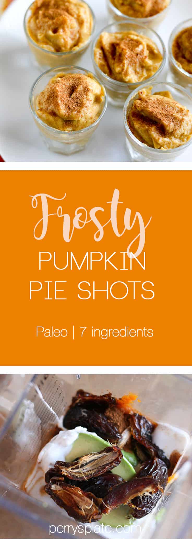 Frosty Pumpkin Pie Shots | pumpkin recipes | paleo desserts | paleo treats | dairy free dessert | blender treats