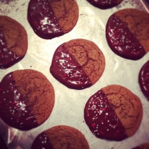 Chocolate-Dipped Spicy Gingersnaps - www.PerrysPlate.com