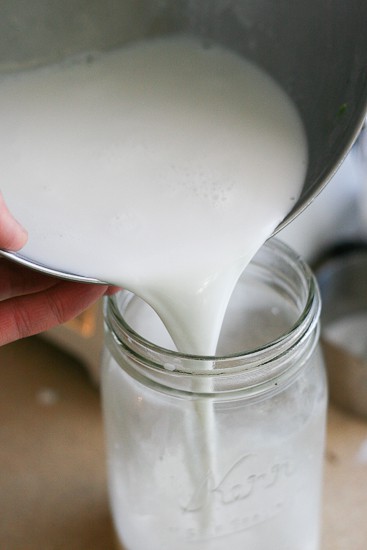 How to make coconut milk using your blender! | PerrysPlate.com