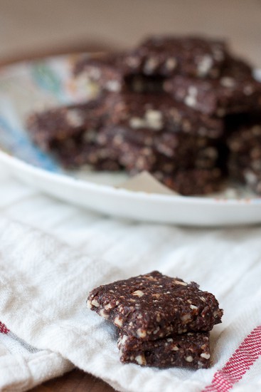 Chocolate Hazelnut Energy Bars | homemade Larabar recipe | paleo recipes | sugar free recipes | energy bar recipe | perrysplate.com