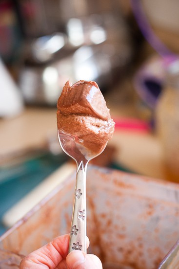 Paleo Chocolate Blender Ice Cream - www.PerrysPlate.com 