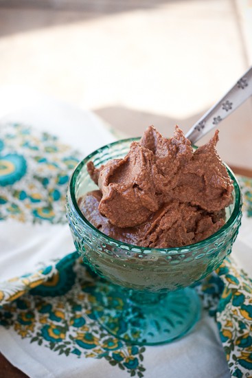 Paleo Chocolate Blender Ice Cream - www.PerrysPlate.com 