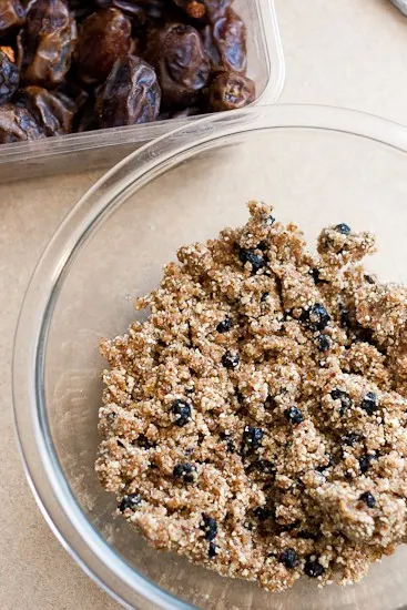 Homemade Blueberry Muffin Larabars - www.perrysplate.com #paleo Homemade Blueberry Muffin Larabars - www.perrysplate.com #paleo
