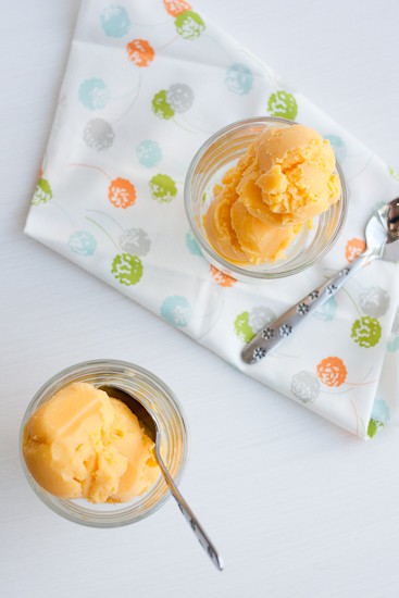5-Minute Mango Sorbet (in the blender!) - Just a few minutes and 3 ingredients and you'll have a dairy-free, vegan, and paleo-friendly frozen dessert to share! Or not. #notjudging | perrysplate.com