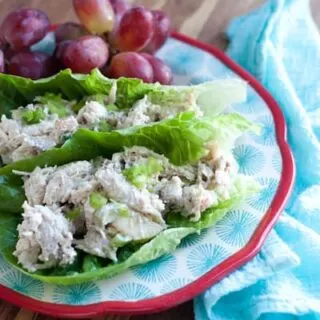 Easy Rotisserie Chicken and Apple Salad