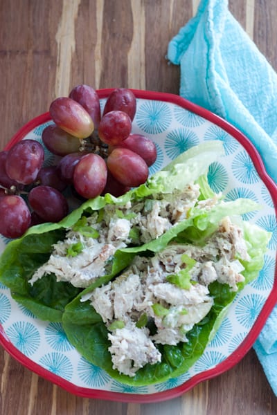Easy Rotisserie Chicken and Apple Salad -- This makes a perfect, portable picnic lunch without needing to make a bunch of sandwiches. Paleo friendly and easily made low-carb or keto | perrysplate.com