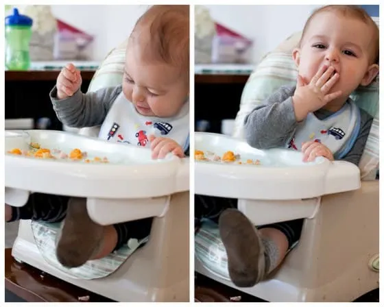 Slow Cooker Chicken and Veggies for Baby | Homemade baby food using a slow cooker! Meal prep for baby, too. 