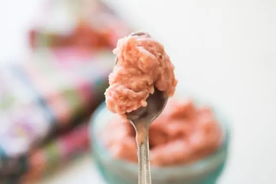 Raspberry Sherbet (In the Blender) | This dairy-free, naturally sweetened dessert whips up in the blender super fast. It's paleo-friendly and can easily be made keto friendly, too!