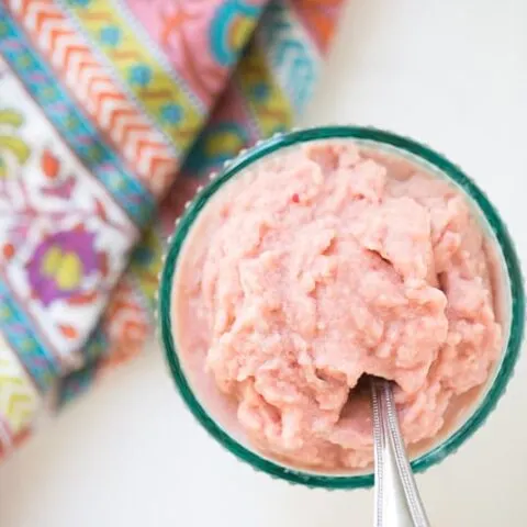 Raspberry Sorbet (In the Blender)