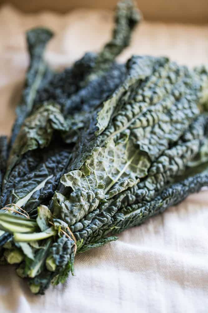 Cheezy Ranch Kale Chips | Whole30 Recipes | Paleo recipes | kale chip recipes | perrysplate.com