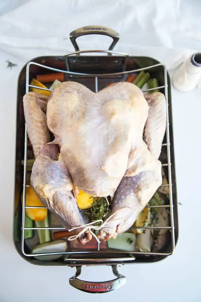 Prepped turkey in a roasting pan. Vegetables, oranges, and herbs are in the bottom of the pan.