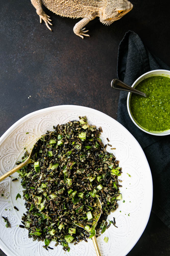 Wild Rice Salad is a perfect make-ahead dish for meal prepping, light dinners, or even a great Thanksgiving side dish! Lots of ideas for add-ins, too. | perrysplate.com Wild Rice Salad is a perfect make-ahead dish for meal prepping, light dinners, or even a great Thanksgiving side dish! Lots of ideas for add-ins, too. | perrysplate.com