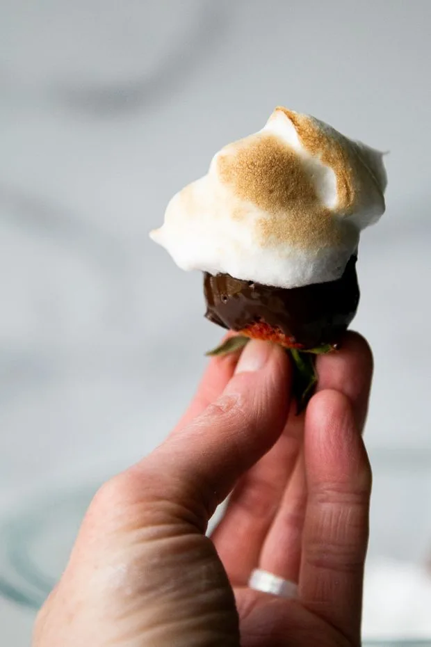 Chocolate Covered Strawberries with Toasted Marshmallow Fluff Chocolate Covered Strawberries with Toasted Marshmallow Fluff