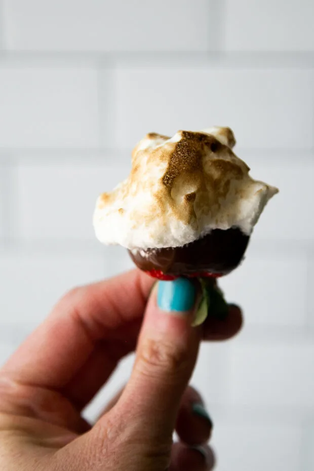 Freshly toasted marshmallow fluff covering a chocolate covered strawberry.