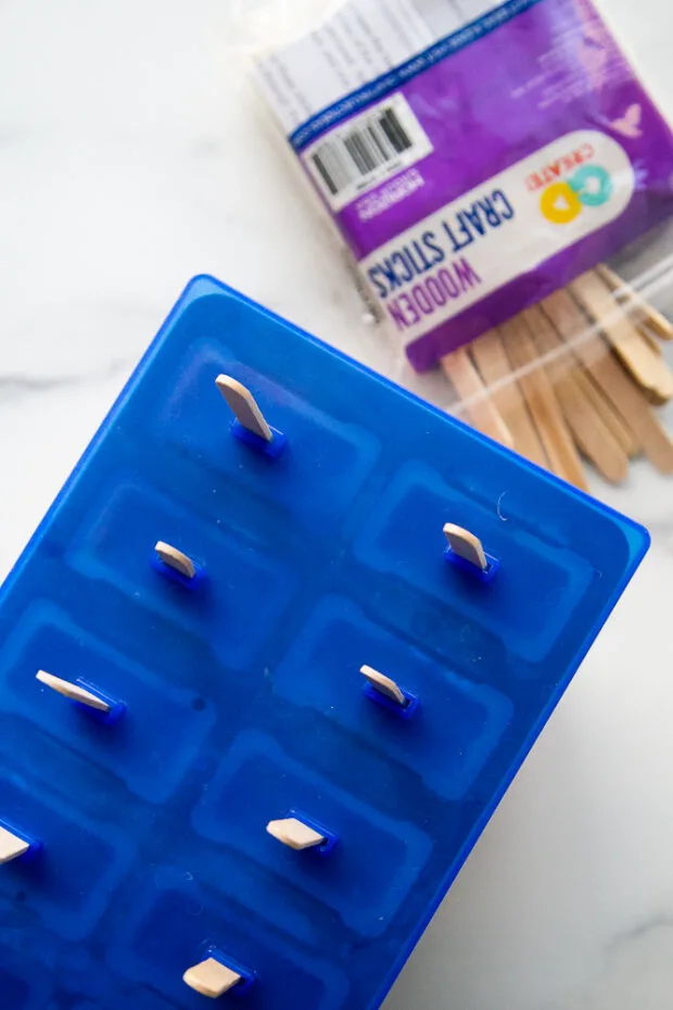 Popsicle sticks inserted into the molds.