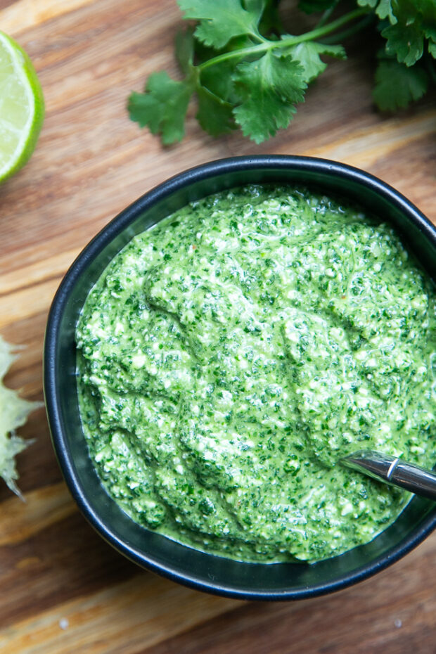 Homemade Cilantro Pesto is a great alternative to traditional pesto! It's easy to make dairy-free, too.