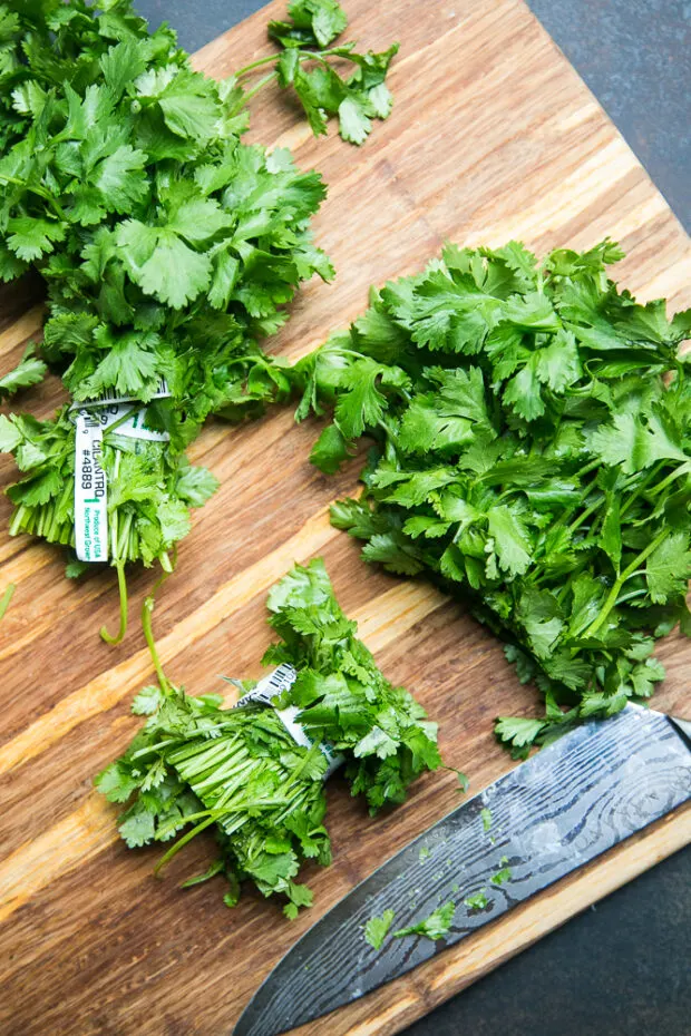 Trimming cilantro bunches is easy -- just trim it above the twist tie!