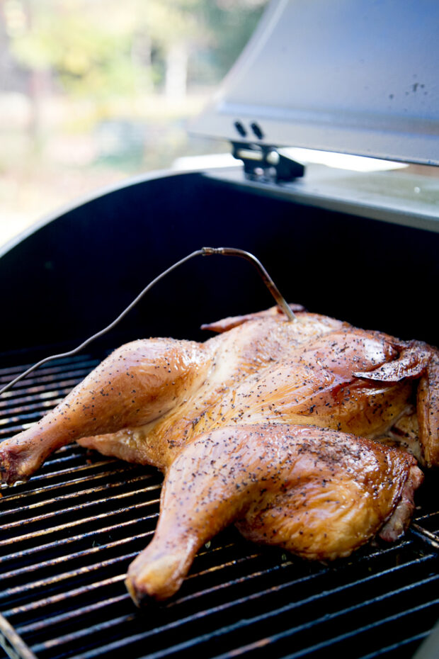 Chicken smoking on a pellet grill with thermometer inserted into the breast meat.