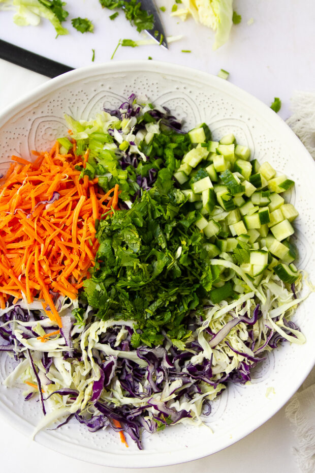 Large salad bowl with lots of vegetables -- shredded cabbage, shredded carrots, diced cucumbers, sliced green onions, and chopped cilantro.