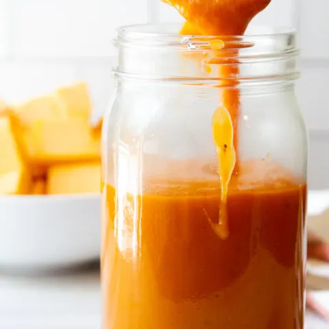 Pumpkin Butternut Squash Pasta Sauce