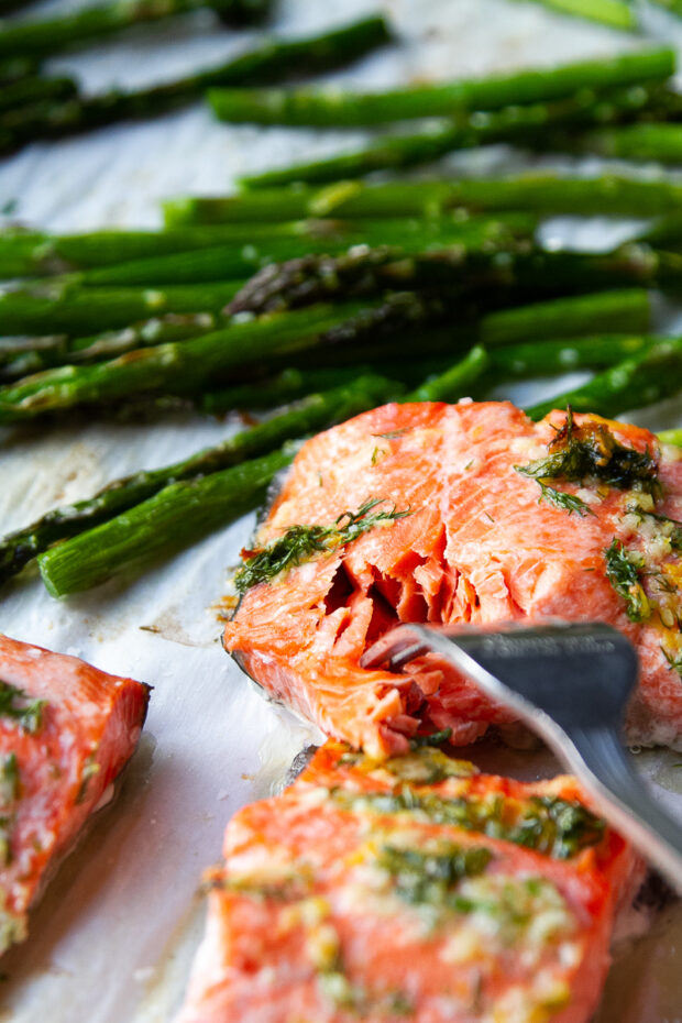 Freshly roasted salmon flaked apart with a fork.