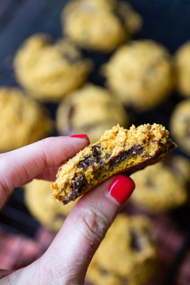 A bite taken out of a finished pumpkin cookie.